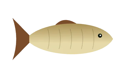 Ilustração de Piau