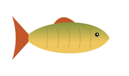 Ilustração de Tucunaré